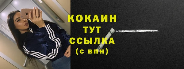 гашиш Богданович
