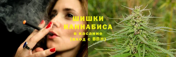 гашиш Богданович