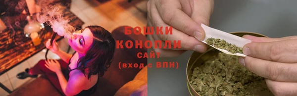 гашиш Богданович