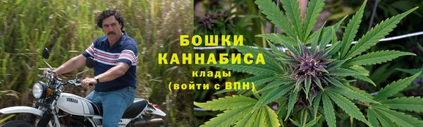 трава Богородицк