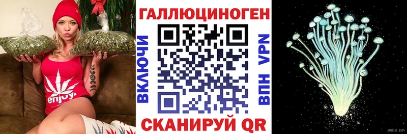 Купить закладки  Лебедянь  Псилоцибиновые грибы прущие грибы 